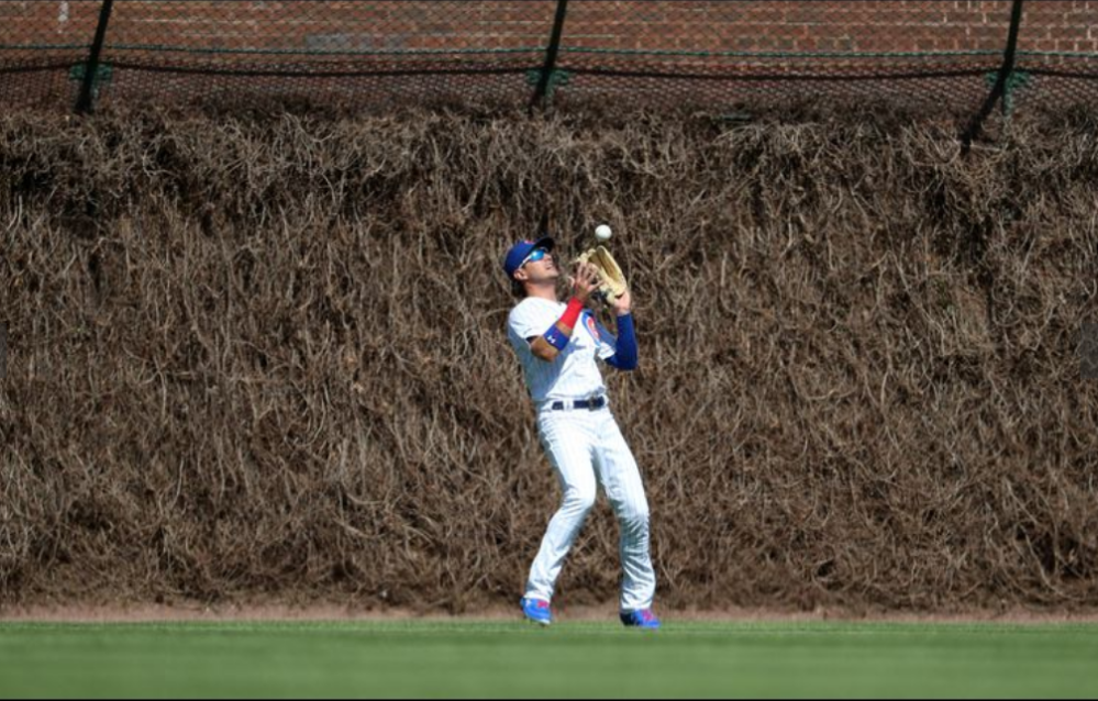 Albert Almora Jr. makes a catch in the Wrigley Field outfield.