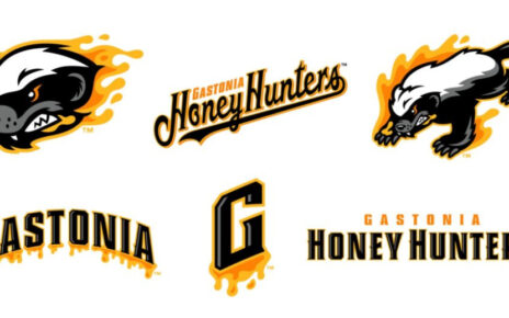 The various logos for the Gastonia Honey Hunters
