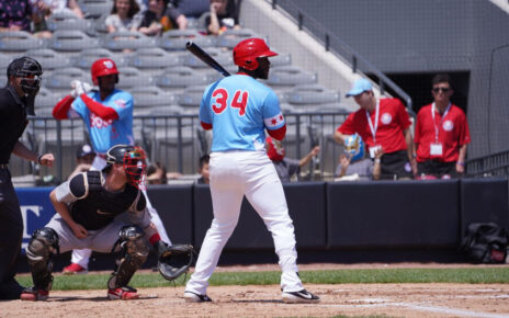 Keon Barnum at-bat with the Chicago Dogs.